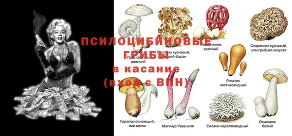 шишки Алзамай