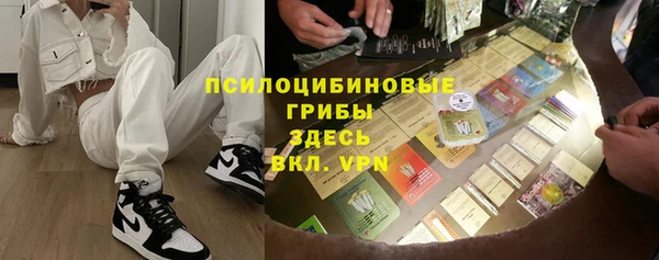 шишки Алзамай